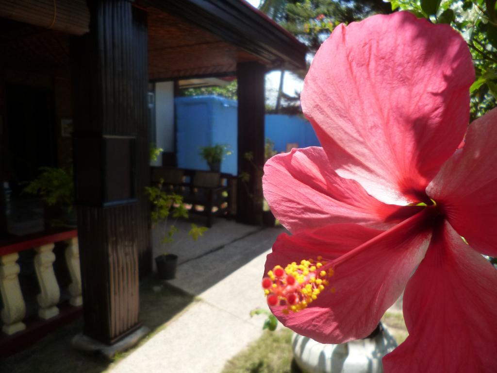Casakeja Inn Panglao Zewnętrze zdjęcie
