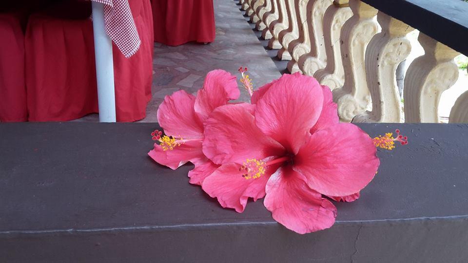 Casakeja Inn Panglao Zewnętrze zdjęcie